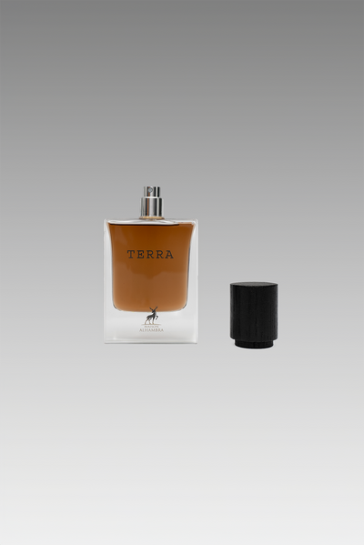 TERRA